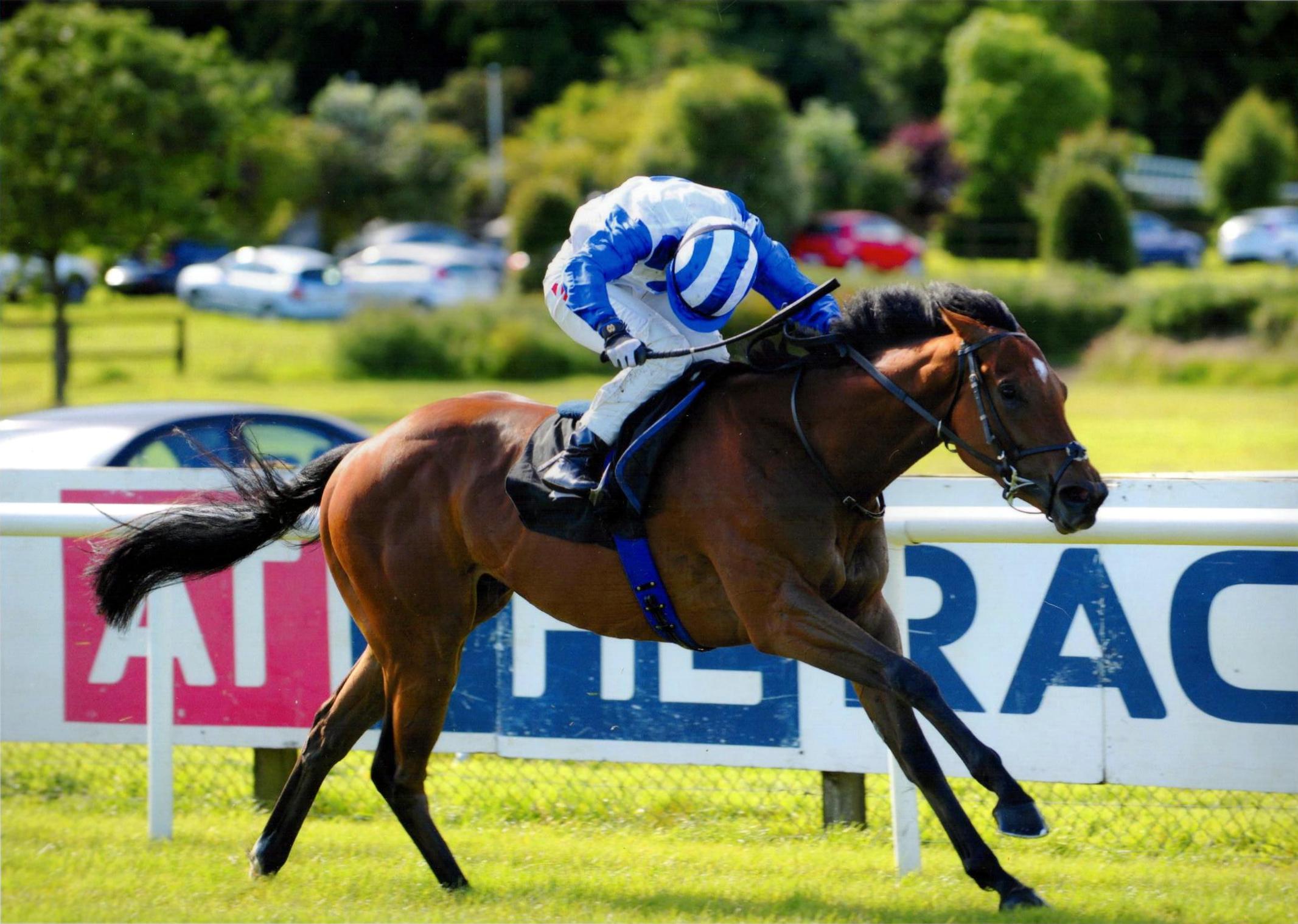 HARVEY SPECTER brings up a double on the card at Bellewstown for Ger and Colin 1st July 2016